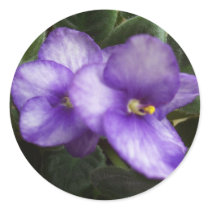 African Violets stickers
