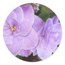 African Violets stickers