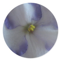 African Violets stickers
