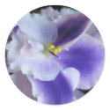 African Violets stickers by ggbythebay African Violets stickers