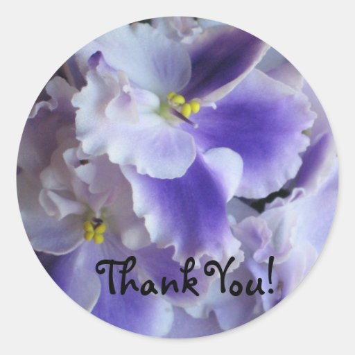 African Violets Thank You Sticker Zazzle