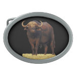 African Water Buffalo Belt Buckle
