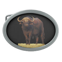 African Water Buffalo Belt Buckle