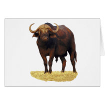 African Water Buffalo Greeting Card