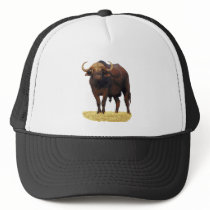 African Water Buffalo Hats