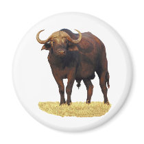 African Water Buffalo Refrigerator Magnet