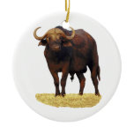 African Water Buffalo Ornament