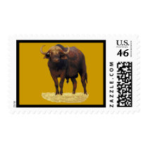 African Water Buffalo Postage Stamp