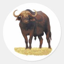 African Water Buffalo Round Stickers