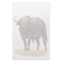 African Water Buffalo Stationery Design