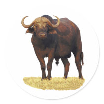 African Water Buffalo Round Stickers