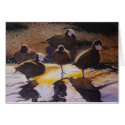 African Waterfowl cards