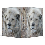 African white lion resting binders