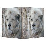 African white lion resting binders