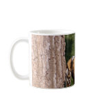 african-wild-dog-001 mugs