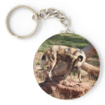 african-wild-dog-002 key chains