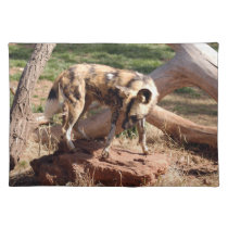 african-wild-dog-002 placemats