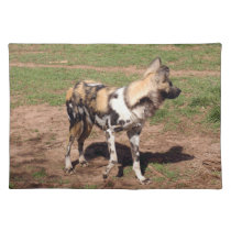 african-wild-dog-003 placemats