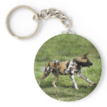 african-wild-dog-004 key chains