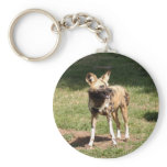 african-wild-dog-005 key chain