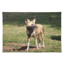 african-wild-dog-005 placemats
