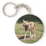 african-wild-dog-006 keychain