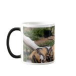 african-wild-dog-009 mug