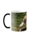 african-wild-dog-010 mug