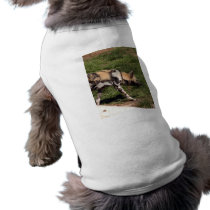 African Wild Dog-011 pet clothing