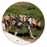 african-wild-dog-011 round wallclocks