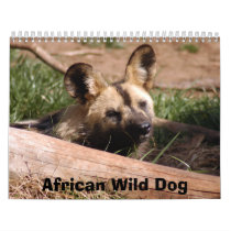 african-wild-dog-012, African Wild Dog Wall Calendar