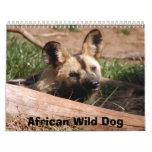 african-wild-dog-012, African Wild Dog calendars