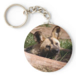 african-wild-dog-012 key chain