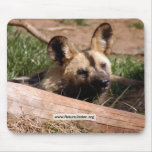 african-wild-dog-012 mouse pads
