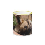 african-wild-dog-012 mug