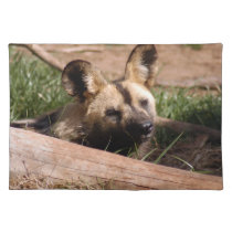 african-wild-dog-012 placemats