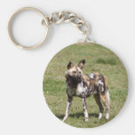 african-wild-dog-014 key chains