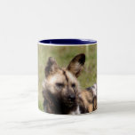 african-wild-dog-015 coffee mug