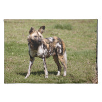 african-wild-dog-015 placemats