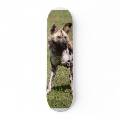 African Wild Dog 015 Skateboard by NatureByDesign