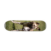 African Wild Dog 015 Skateboard