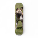 African Wild Dog 015 Skateboard