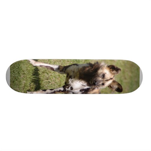 African Wild Dog 015 Skateboard
