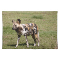 african-wild-dog-016 placemats
