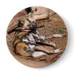african-wild-dog-018 pinback buttons