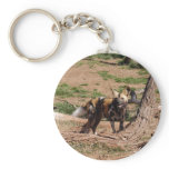 african-wild-dog-020 key chains