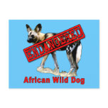African Wild Dog Endangered Animal Products Post Cards