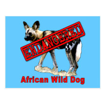 African Wild Dog Endangered Animal Products Post Cards