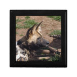 African Wild Dog Trinket Boxes
