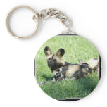 African Wild Dog Keychains